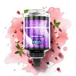 JNR Mega Shisha Hookah 100K Skrivebordskompatibel Druemynt 60ml 2200mAh